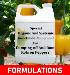 Formulations And Production Process of Organic And Systemic Fungicide Compound For Damping-off And Root Rots on Peppers