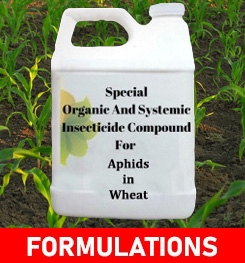 Formulations And Production Process of Organic And Systemic Insecticide Compound For Aphids in Wheat