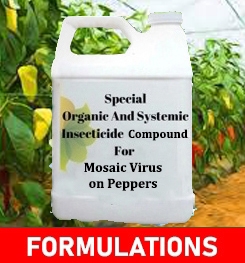 Formulations And Production Process of Organic And Systemic Fungicide Compound For Mosaic Virus on Peppers