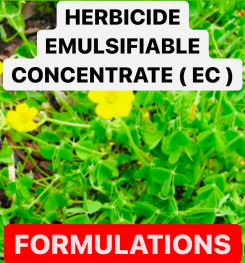 HERBICIDE EMULSIFIABLE CONCENTRATE ( EC ) FORMULATIONS AND PRODUCTION PROCESS