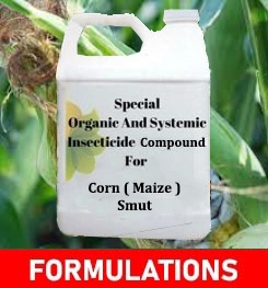 Formulations And Production Process of Organic And Systemic Fungicide Compound For Corn ( Maize ) Smut