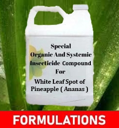 Formulations And Production Process of Organic And Systemic Fungicide Compound For White Leaf Spot of Pineapple ( Ananas )