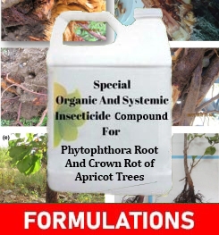 Formulations And Production Process of Organic And Systemic Fungicide Compound For Phytophthora Root And Crown Rot of Apricot Trees