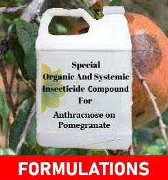 Formulations And Production Process of Organic And Systemic Fungicide Compound For Anthracnose on Pomegranate