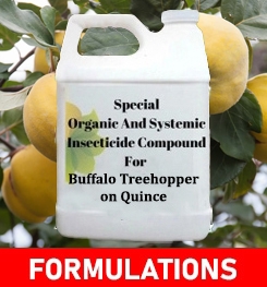 Formulations And Production Process of Organic And Systemic Insecticide Compound For Buffalo Treehopper on Quince