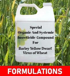 Formulations And Production Process of Organic And Systemic Fungicide Compound For Barley Yellow Dwarf Virus of Wheat