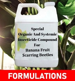 Formulations And Production Process of Organic And Systemic Insecticide Compound For Banana Fruit Scarring Beetles