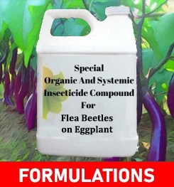 Formulations And Production Process of Organic And Systemic Insecticide Compound For Flea Beetles on Eggplant