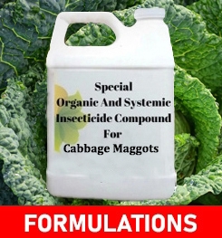 Formulations And Production Process of Organic And Systemic Insecticide Compound For Cabbage Maggots