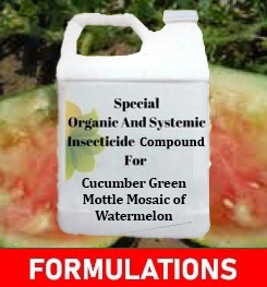 Formulations And Production Process of Organic And Systemic Fungicide Compound For Cucumber Green Mottle Mosaic of Watermelon