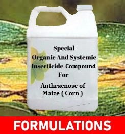 Formulations And Production Process of Organic And Systemic Fungicide Compound For Anthracnose of Maize ( Corn )