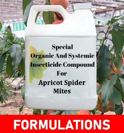 Formulations And Production Process of Organic And Systemic Insecticide Compound For Apricot Spider Mites