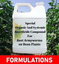 Formulations And Production Process of Organic And Systemic Insecticide Compound For Beet Armyworms on Bean Plants