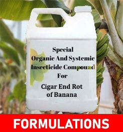Formulations And Production Process of Organic And Systemic Fungicide Compound For Cigar End Rot of Banana