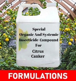 Formulations And Production Process of Organic And Systemic Fungicide Compound For Citrus Canker