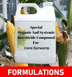 Formulations And Production Process of Organic Insecticide Compound For Corn Earworm