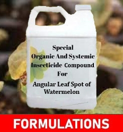 Formulations And Production Process of Organic And Systemic Fungicide Compound For Angular Leaf Spot of Watermelon