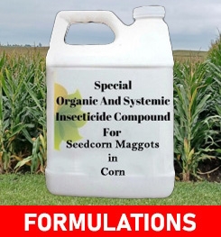 Formulations And Production Process of Organic And Systemic Insecticide Compound For Seedcorn Maggots in Corn