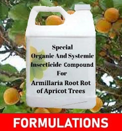 Formulations And Production Process of Organic And Systemic Fungicide Compound For Armillaria Root Rot of Apricot Trees