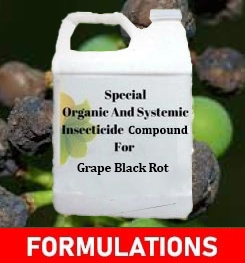 Formulations And Production Process of Organic And Systemic Fungicide Compound For Grape Black Rot