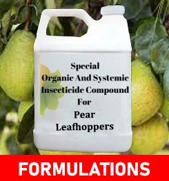 Formulations And Production Process of Organic And Systemic Insecticide Compound For Pear Leafhoppers