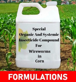 Formulations And Production Process of Organic And Systemic Insecticide Compound For Wireworms in Corn