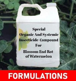 Formulations And Production Process of Organic And Systemic Fungicide Compound For Blossom End Rot of Watermelon