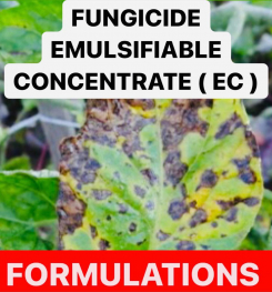 FUNGICIDE EMULSIFIABLE CONCENTRATE ( EC ) FORMULATIONS AND PRODUCTION PROCESS