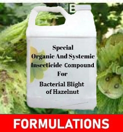 Formulations And Production Process of Organic And Systemic Fungicide Compound For Bacterial Blight of Hazelnut