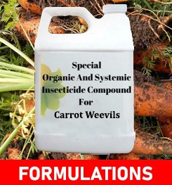 Formulations And Production Process of Organic And Systemic Insecticide Compound For Carrot Weevils