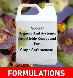 Formulations And Production Process of Organic And Systemic Fungicide Compound For Grape Anthracnose