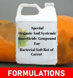 Formulations And Production Process of Organic And Systemic Fungicide Compound For Bacterial Soft Rot of Carrot