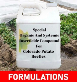Formulations And Production Process of Organic And Systemic Insecticide Compound For Colorado Potato Beetles
