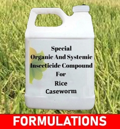 Formulations And Production Process of Organic And Systemic Insecticide Compound For Rice Caseworm