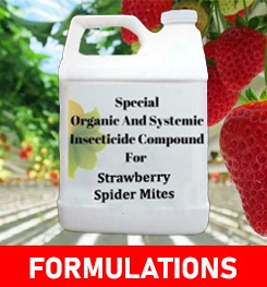 Formulations And Production Process of Organic And Systemic Insecticide Compound For Strawberry Spider Mites