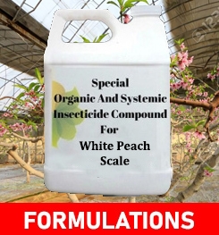 Formulations And Production Process of Organic And Systemic Insecticide Compound For White Peach Scale