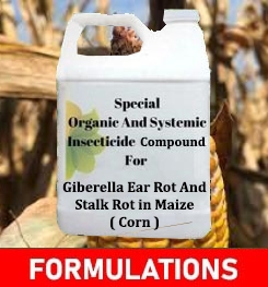 Formulations And Production Process of Organic And Systemic Fungicide Compound For Giberella Ear Rot And Stalk Rot in Maize ( Corn )