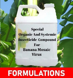 Formulations And Production Process of Organic And Systemic Fungicide Compound For Banana Mosaic Virus