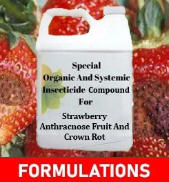 Formulations And Production Process of Organic And Systemic Fungicide Compound For Strawberry Anthracnose Fruit And Crown Rot