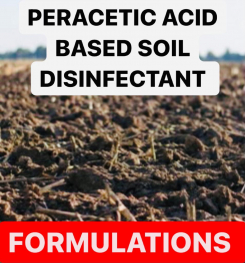 PERACETIC ACID BASED SOIL DISINFECTANT FORMULATIONS AND PRODUCTION PROCESS