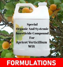 Formulations And Production Process of Organic And Systemic Fungicide Compound For Apricot Verticillium Wilt