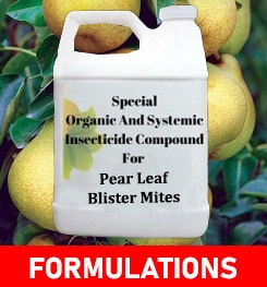 Formulations And Production Process of Organic And Systemic Insecticide Compound For Pear Leaf Blister Mites