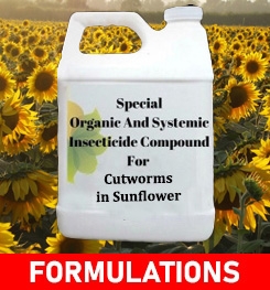 Formulations And Production Process of Organic And Systemic Insecticide Compound For Cutworms in Sunflower