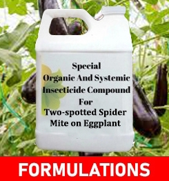 Formulations And Production Process of Organic And Systemic Insecticide Compound For Two-spotted Spider Mite on Eggplant