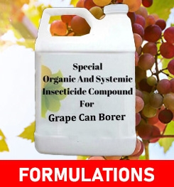 Formulations And Production Process of Organic And Systemic Insecticide Compound For Grape Can Borer