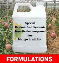 Formulations And Production Process of Organic And Systemic Insecticide Compound For Mango Fruit Fly