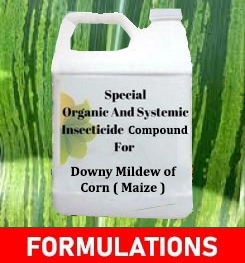 Formulations And Production Process of Organic And Systemic Fungicide Compound For Downy Mildew of Corn ( Maize )