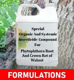 Formulations And Production Process of Organic And Systemic Fungicide Compound For Phytophthora Root And Crown Rot of Walnut