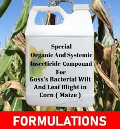Formulations And Production Process of Organic And Systemic Fungicide Compound For Goss's Bacterial Wilt And Leaf Blight in Corn ( Maize )