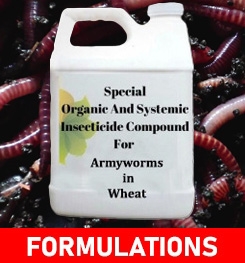 Formulations And Production Process of Organic And Systemic Insecticide Compound For Armyworms in Wheat